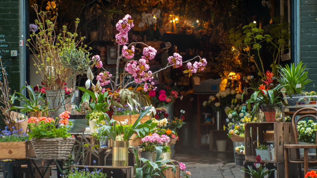 Flores de temporada: Guía 2025 con las mejores opciones para cada estación