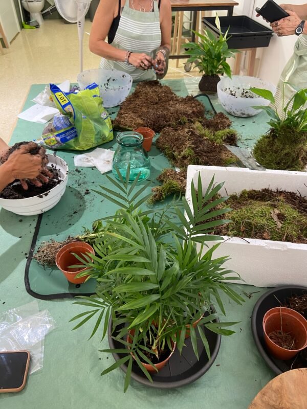 Taller de creación de Kokedamas en Sant Cugat del Vallès - Imagen 7