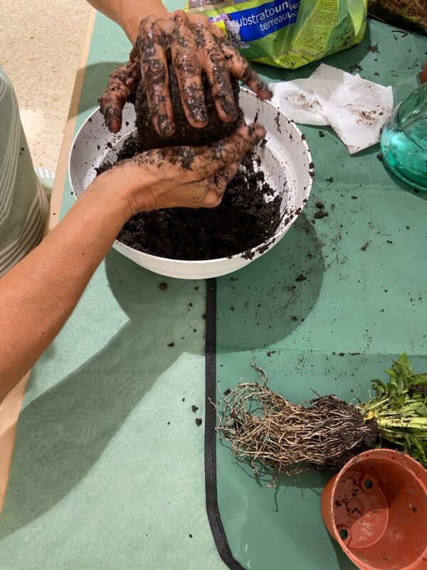 Taller de creación de Kokedamas en Sant Cugat del Vallès - Imagen 6