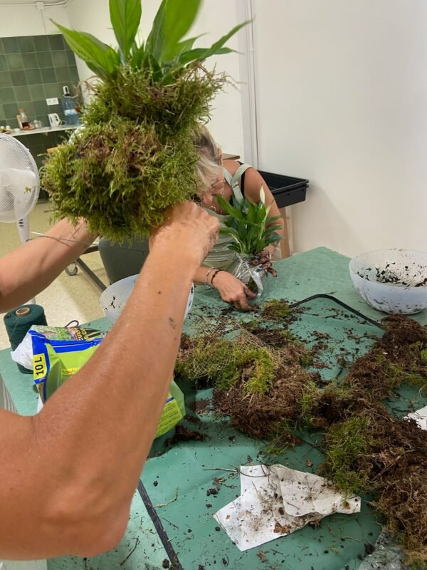 Taller de creación de Kokedamas en Sant Cugat del Vallès - Imagen 5
