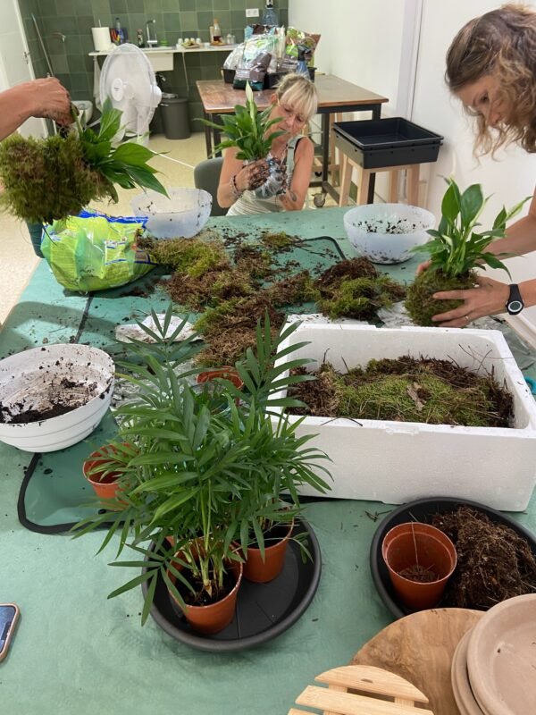 Taller de creación de Kokedamas en Sant Cugat del Vallès - Imagen 3