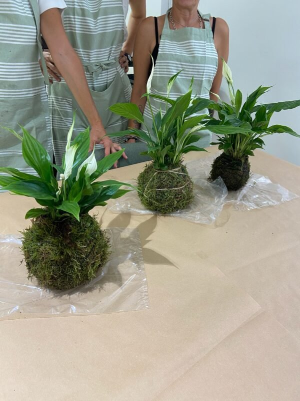 Taller de creación de Kokedamas en Sant Cugat del Vallès - Imagen 2