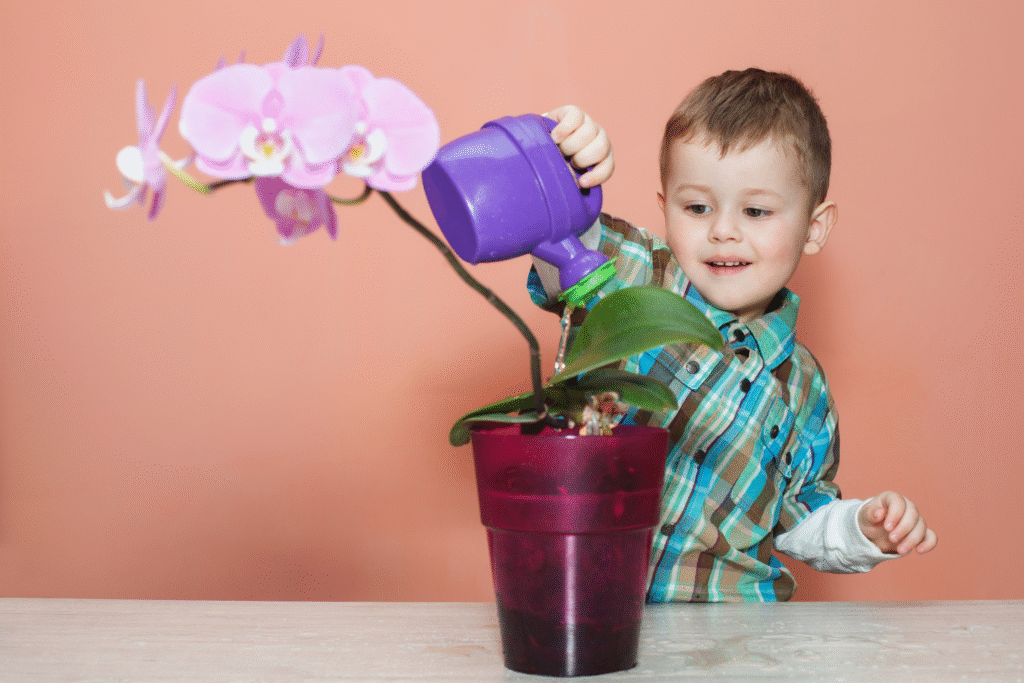 Cómo regar una orquidea