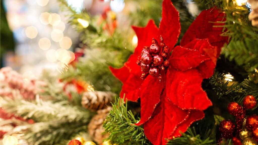 flor de pascua navidad