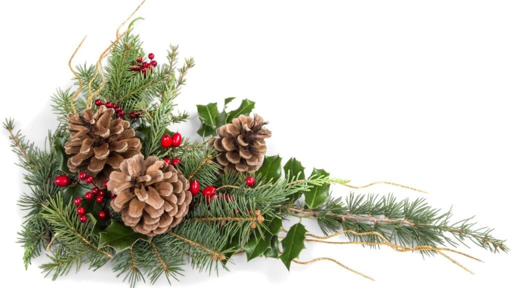 ¿Qué flores son típicas de la Navidad?