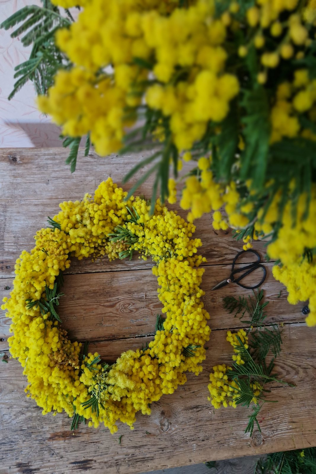 Taller de Coronas de Mimosa - Crea tu propia corona de flor de Mimosa - L' Era Atelier Floral Taller de Coronas de Mimosa - Crea tu propia corona de flor de Mimosa - Imagen 2