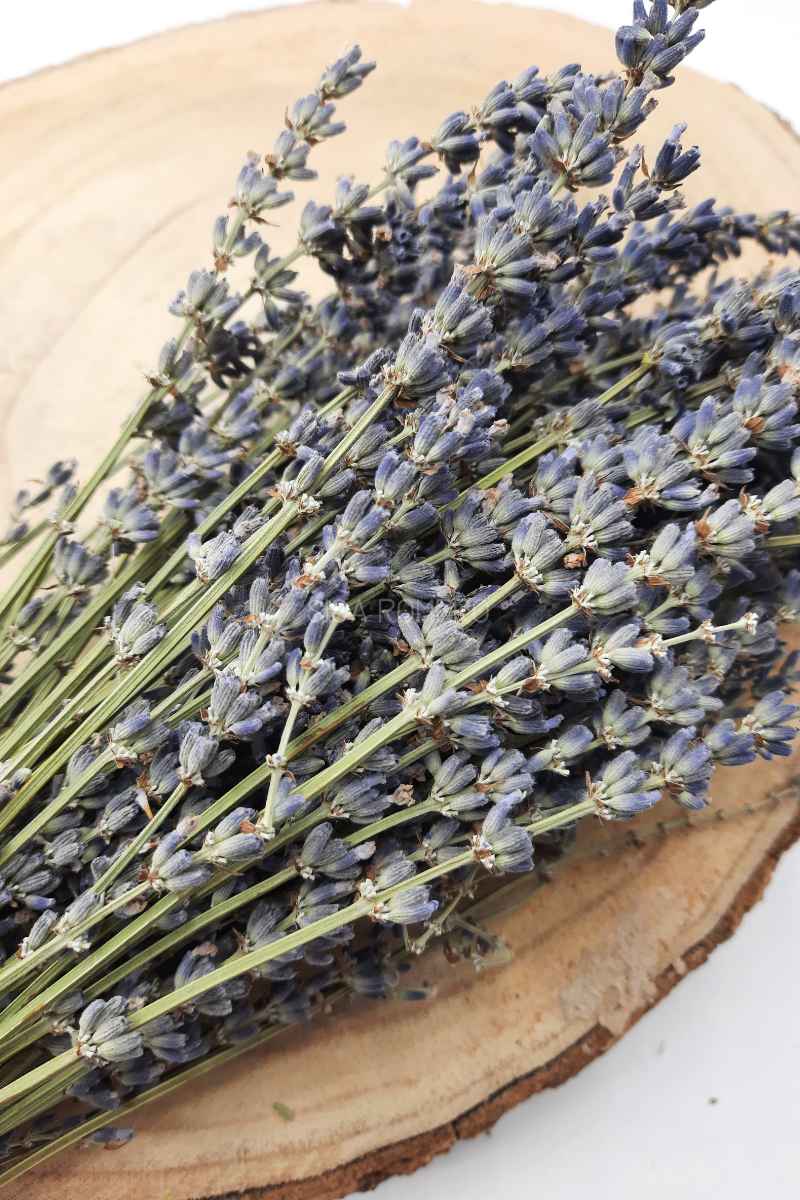 Taller de Coronas de Lavanda - Crea tu propia corona de Lavanda Natural - L' Era Atelier Floral Taller de Coronas de Lavanda - Crea tu propia corona de Lavanda Natural - Imagen 2