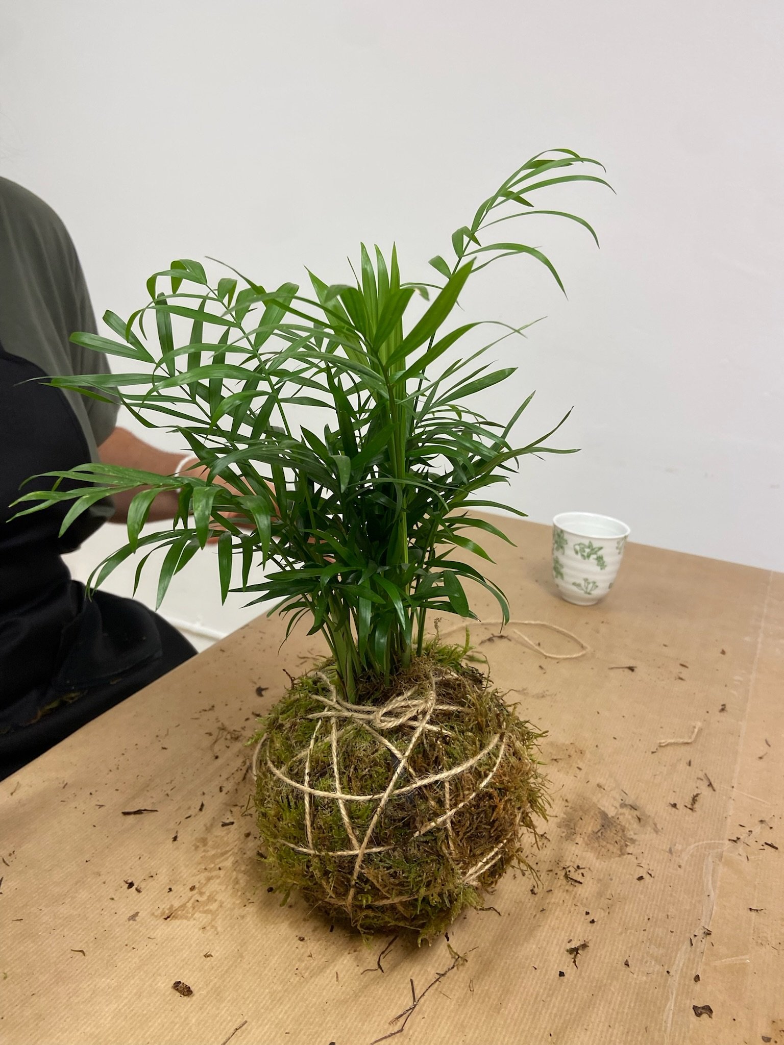Taller de Kokedama _ Taller para niños _ Sant Cugat del Vallès _ Barcelona - L' Era Atelier Floral Taller de Kokedama _ Taller para niños _ Sant Cugat del Vallès _ Barcelona - Imagen 4