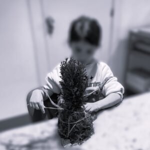 Taller de Kokedama _ Taller para niños _ Sant Cugat del Vallès _ Barcelona