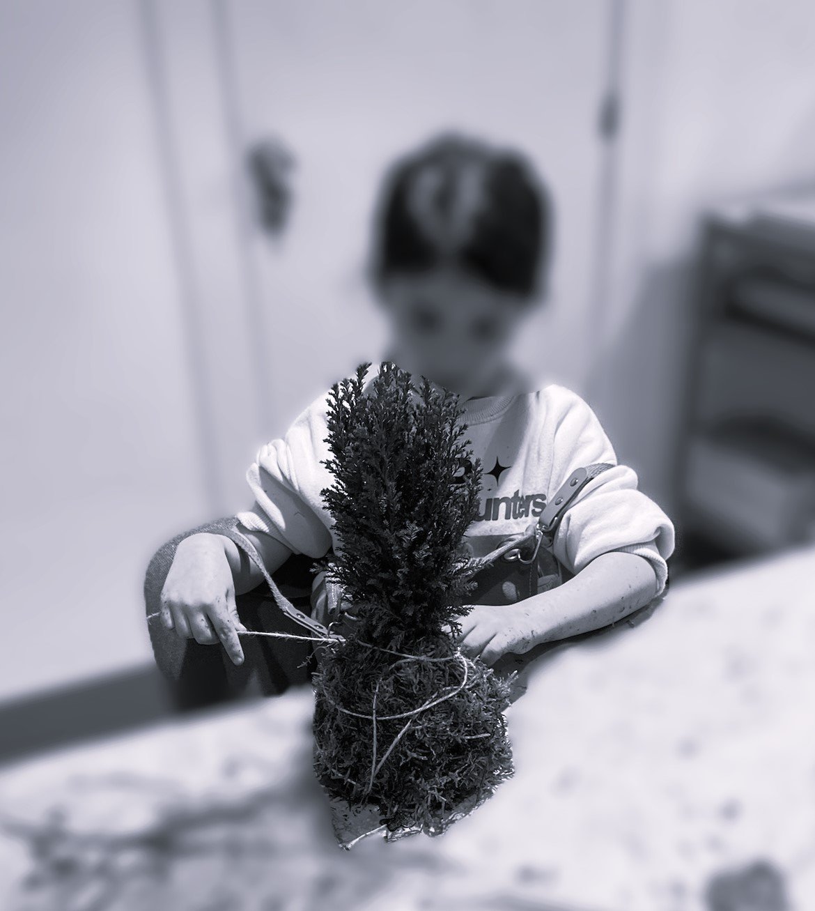 Taller de Kokedama _ Taller para niños _ Sant Cugat del Vallès _ Barcelona - L' Era Atelier Floral Taller de Kokedama _ Taller para niños _ Sant Cugat del Vallès _ Barcelona