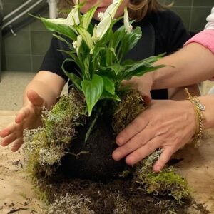 Taller de Kokedama _ Taller para niños _ Sant Cugat del Vallès _ Barcelona